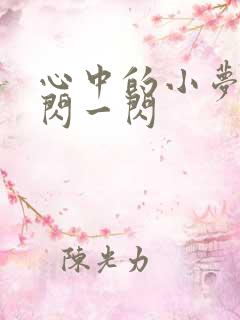心中的小梦想一闪一闪