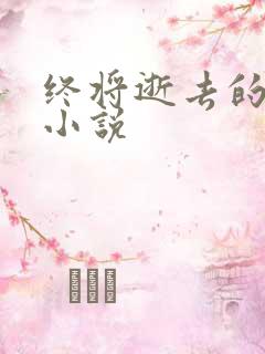 终将逝去的青春小说