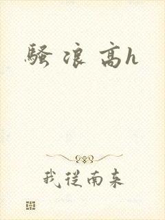 骚 浪 高h