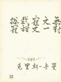 总裁宠文无虐超宠甜文一对一