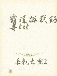 霸道总裁的挂名妻txt