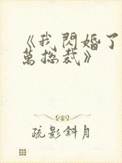 《我闪婚了个亿万总裁》