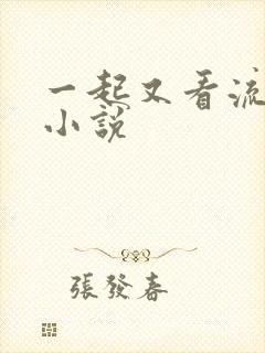 一起又看流星雨小说