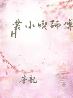 丛小吃师傅的HH