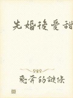 先婚后爱甜宠文