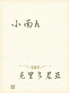 小南h