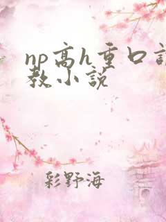 np高h重口调教小说