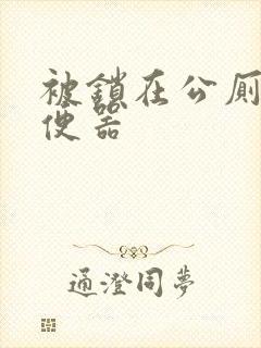 被锁在公厕当坐便器