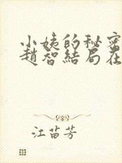 小姨的秘密小说赵智结局在线阅读