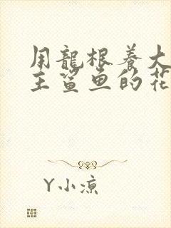 用龙根养大的公主鲨鱼的花