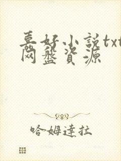 嘉好小说txt网盘资源