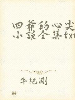 四爷的心尖宠妃小说全集txt