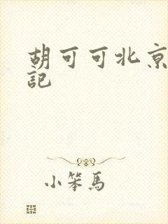 胡可可北京成功记