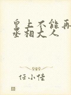 皇上不能再进了丞相大人