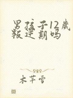 男孩子12岁是叛逆期吗