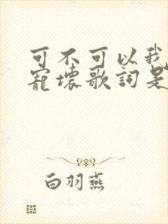 可不可以我把你宠坏歌词是哪首歌