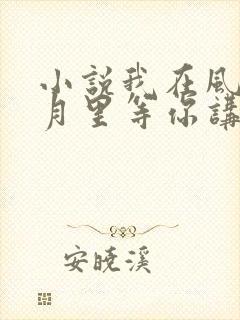 小说我在风花雪月里等你讲的什么