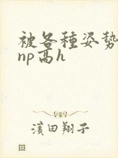 被各种姿势玩弄np高h