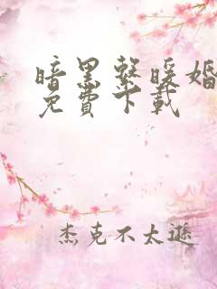 暗黑系暖婚全文免费下载