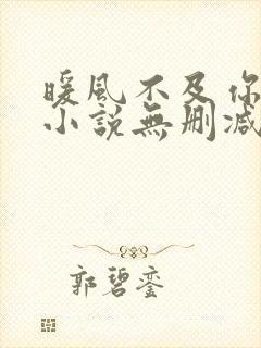 暖风不及你情深小说无删减正版在线阅读