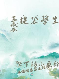 手提袋学生拎书袋