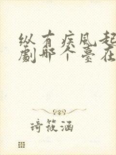 纵有疾风起电视剧哪个台在播放