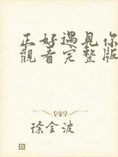 正好遇见你免费观看完整版