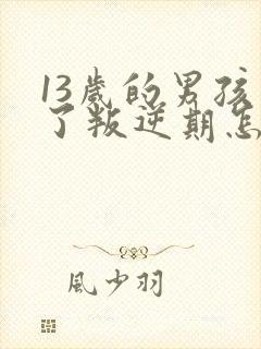 13岁的男孩到了叛逆期怎麽教