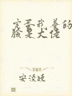 完蛋我养的小白脸是大佬