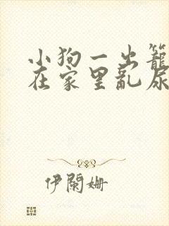 小狗一出笼子就在家里乱尿