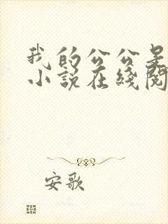 我的公公是医生小说在线阅读