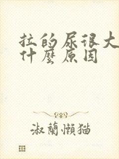 拉的尿很大味是什么原因