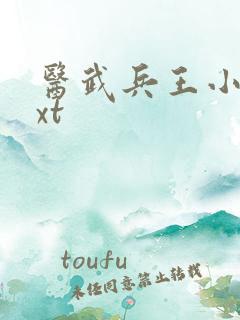 医武兵王小说txt