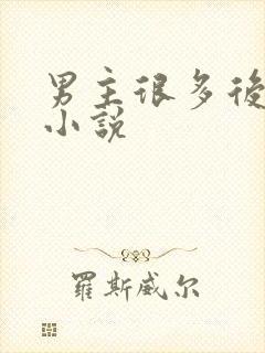 男主很多后宫的小说