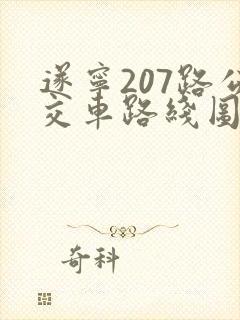 遂宁207路公交车路线图