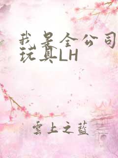 我是全公司发泄玩具LH