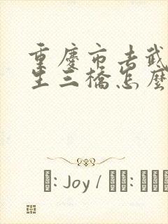 重庆市去武隆天生三桥怎么走