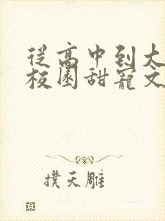 从高中到大学的校园甜宠文