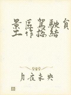 景区驾驶员年终工作总结