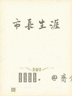 市长生涯
