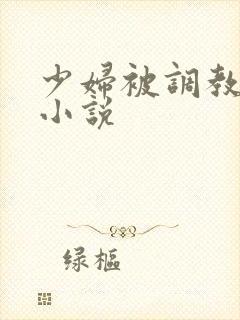 少妇被调教系列小说