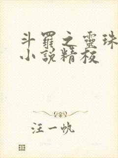 斗罗之灵珠神剑小说精校