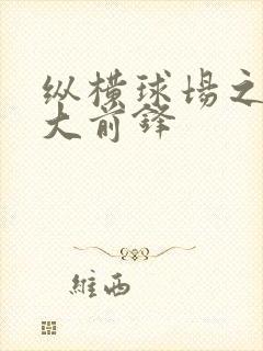 纵横球场之暴力大前锋