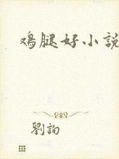鸡腿好小说网