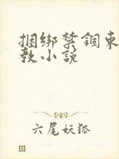 捆绑禁锢束缚调教小说