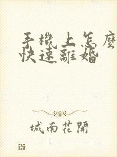 手机上怎么申请快速离婚