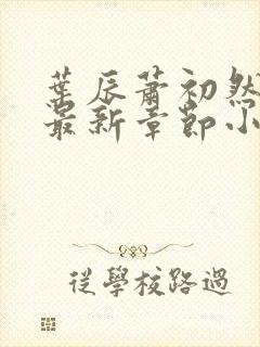 叶辰萧初然免费最新章节小说