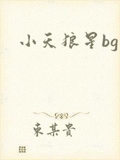 小天狼星bg