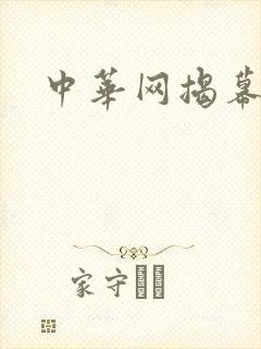 中华网揭幕内参