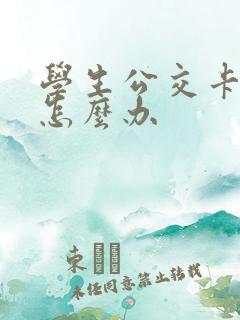 学生公交卡丢了怎么办